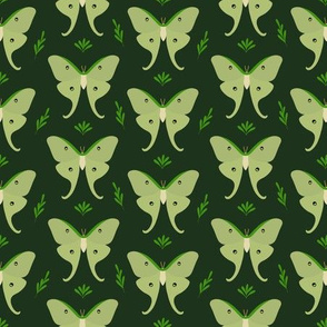 Luna Moths