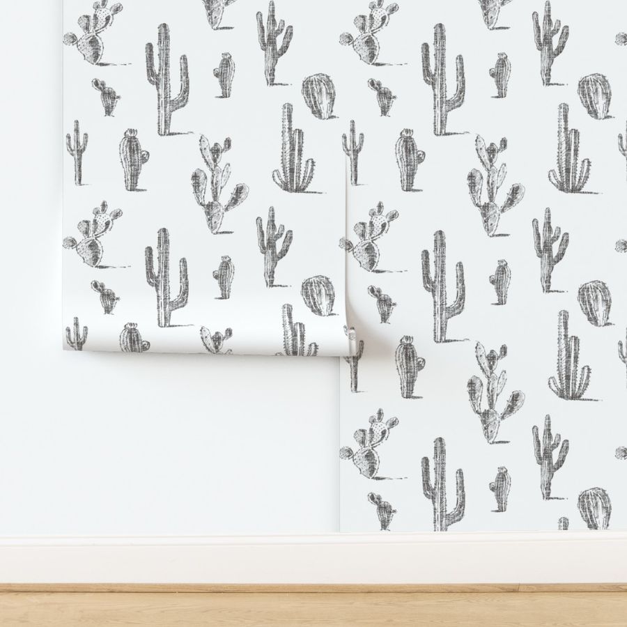 Cacti - graphite on white