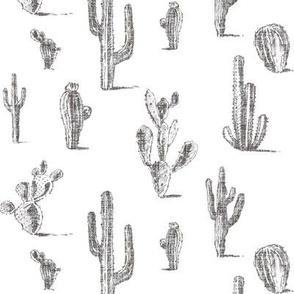 Cacti - graphite on white