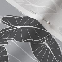 small poi-fect elephant ear leaf_ grey and charcoal