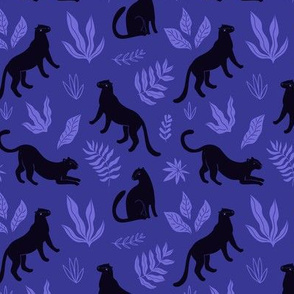 Black panthers in tropical leaves (blue version)