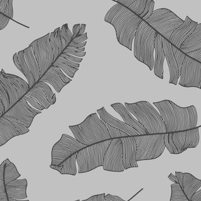 LARGE tropical banana palm leaves -  ash gray and faded charcoal black