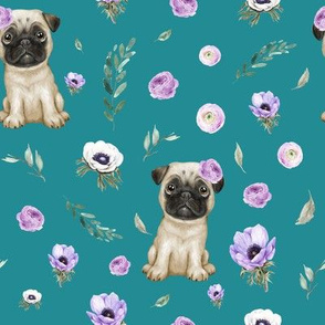 pug teal