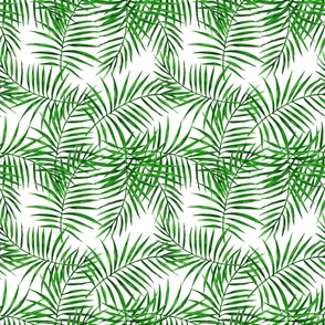 palm leaves 1