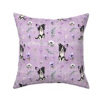 border collie purple linen