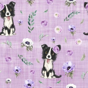 border collie purple linen