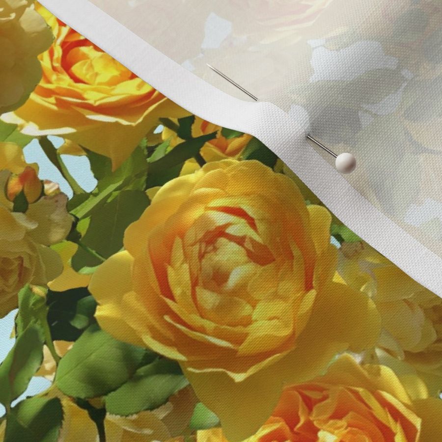 Yellow Roses Unending - eggshell blue