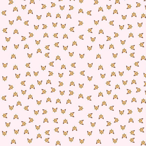 Cute Foxes Pattern on Pink Background