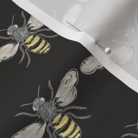 Beneficial Bumblebees