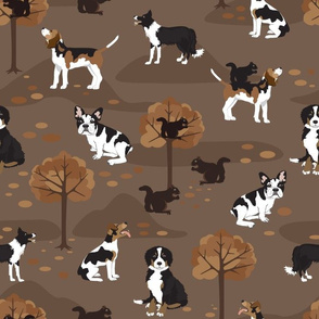 fall wallpaper with dogs