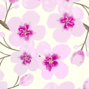 Watercolor Cherry Blossoms And Cream