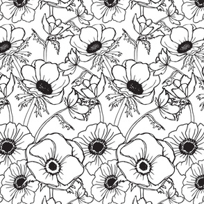 anemones in Black & White