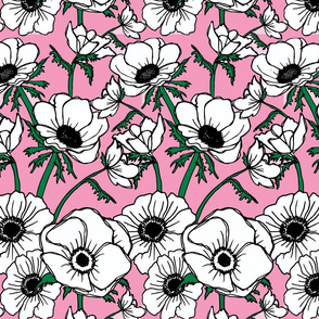 Anemones in black and pink