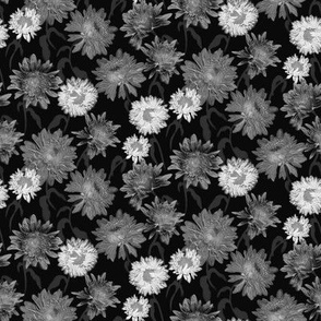 Pressed Pom Pom Black and White Flowers