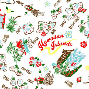 Hawaiian Islands Map on white