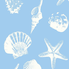 seashell pattern