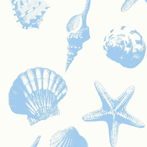 Seashell pattern