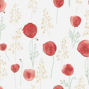 Poppies and oats