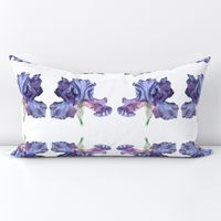 Iris repeat-regular pattern