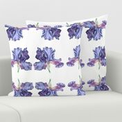 Iris repeat-regular pattern