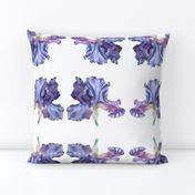 Iris repeat-regular pattern