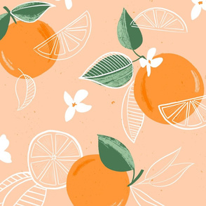 Sketchy Oranges