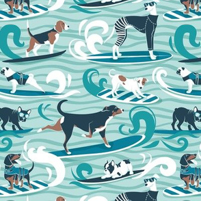 Small scale // Happy dogs catching waves // aqua background teal waves brown white and blue doggies turquoise surf and bodyboards
