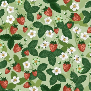 Strawberries Green 12 x12 in