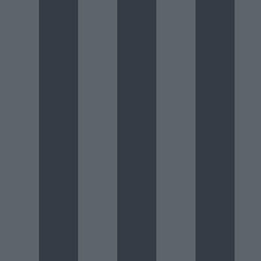 Large Slate Grey Awning Stripe Pattern Vertical in Charcoal