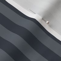 Slate Grey Awning Stripe Pattern Vertical in Charcoal