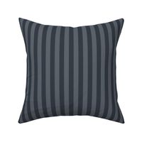 Slate Grey Awning Stripe Pattern Vertical in Charcoal