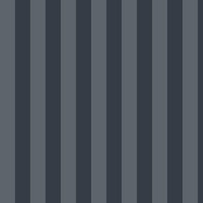 Slate Grey Awning Stripe Pattern Vertical in Charcoal