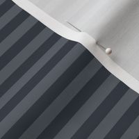 Slate Grey Bengal Stripe Pattern Horizontal in Charcoal