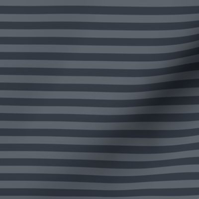 Slate Grey Bengal Stripe Pattern Horizontal in Charcoal