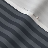 Slate Grey Bengal Stripe Pattern Vertical in Charcoal