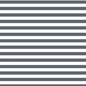Slate Grey Bengal Stripe Pattern Horizontal in White