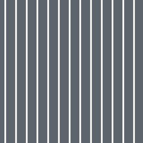 Slate Grey Pin Stripe Pattern Vertical in White