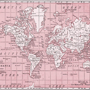 Pink World Map