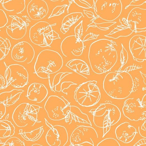 Citrus Contour - Mandarin