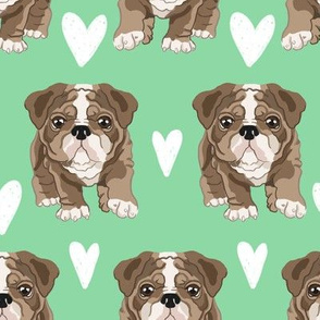 Bulldog Puppies Green