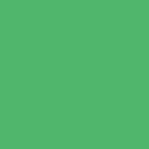 Scheele's Green Solid Coordinate