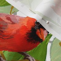 Spring Cardinals | White