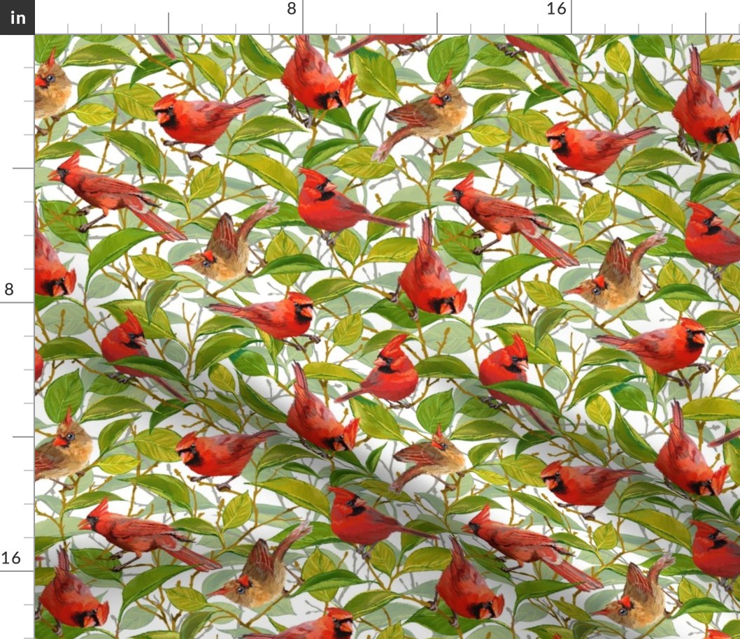 Spring Cardinals | Small | White