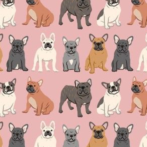 French Bulldogs - Pink