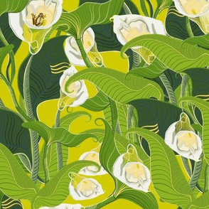 arum lilies of africa in chartreuse