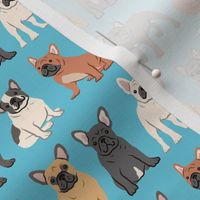 French Bulldogs - Light Blue