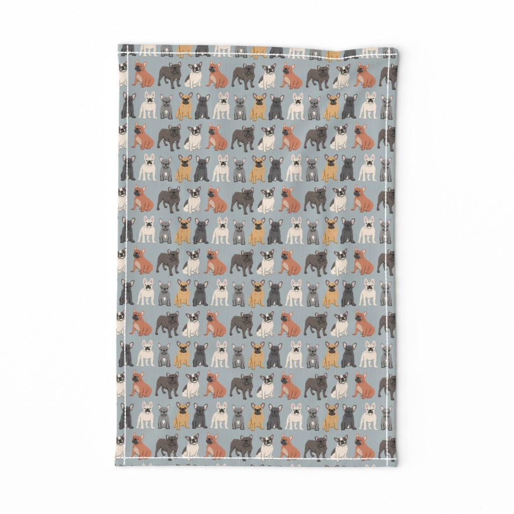French Bulldogs - Gray / Grey