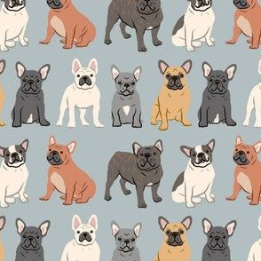 French Bulldogs - Gray / Grey
