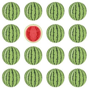 Water Melons 2 on White