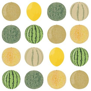 Melon Collection on White